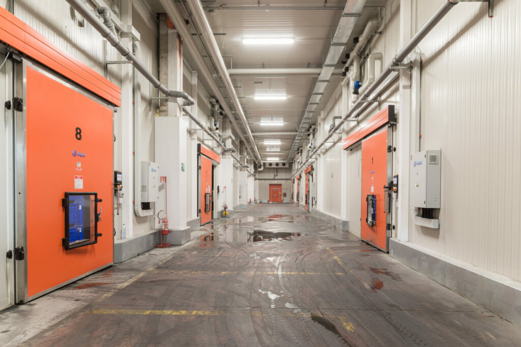 _DSC1555 Montapple - la mela nata in Italia svg+xml;charset=utf