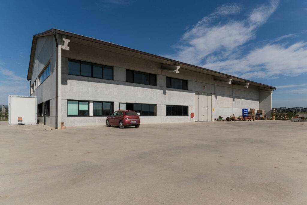 _DSC1654 Montapple - la mela nata in Italia svg+xml;charset=utf