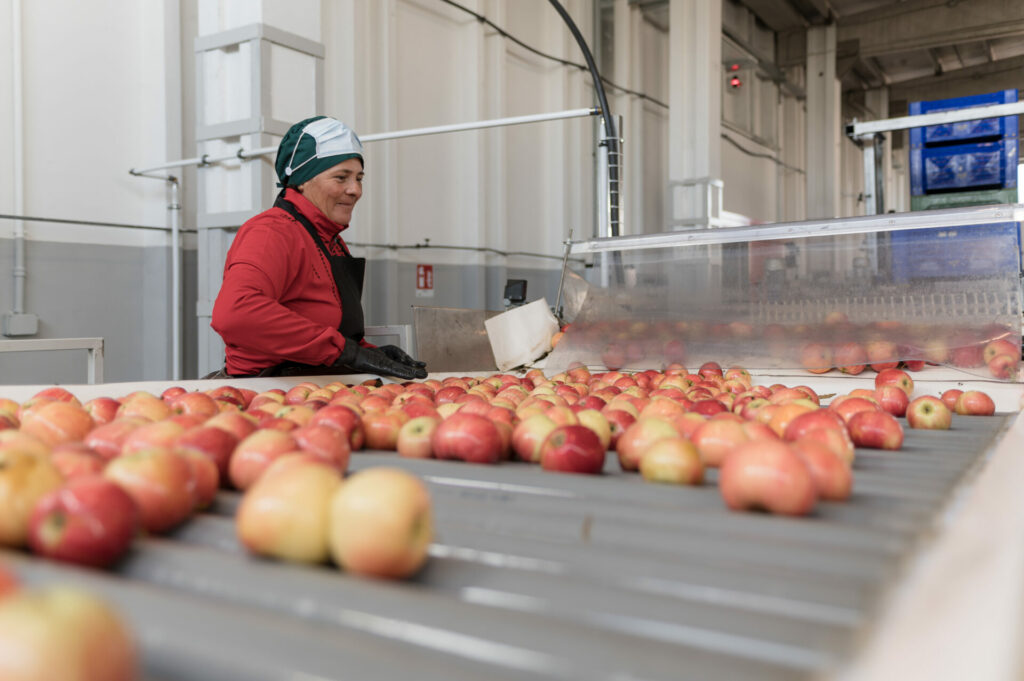 _DSC7957 Montapple - la mela nata in Italia svg+xml;charset=utf