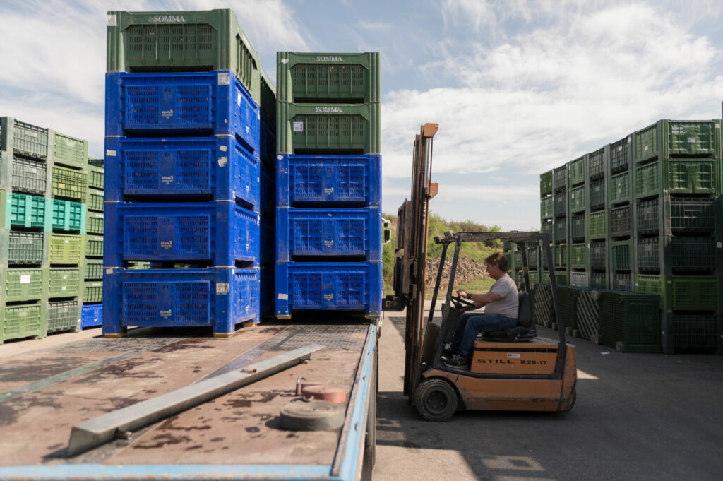 _DSC8287 Montapple - la mela nata in Italia svg+xml;charset=utf